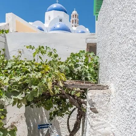 The Bougainvillea
