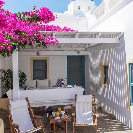 The Bougainvillea