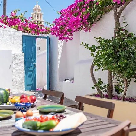 The Bougainvillea *