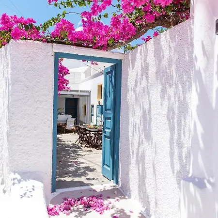 펜션 The Bougainvillea