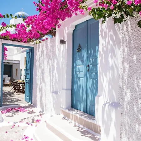 The Bougainvillea