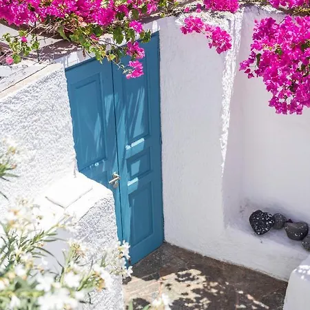 The Bougainvillea